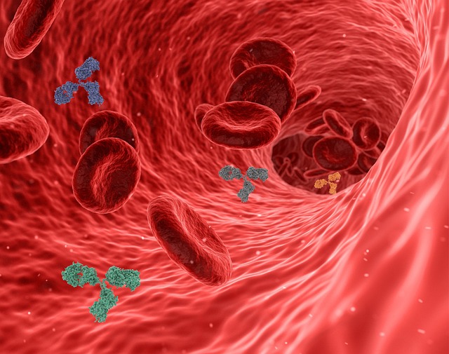boosting immune system